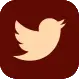 Twitter icon